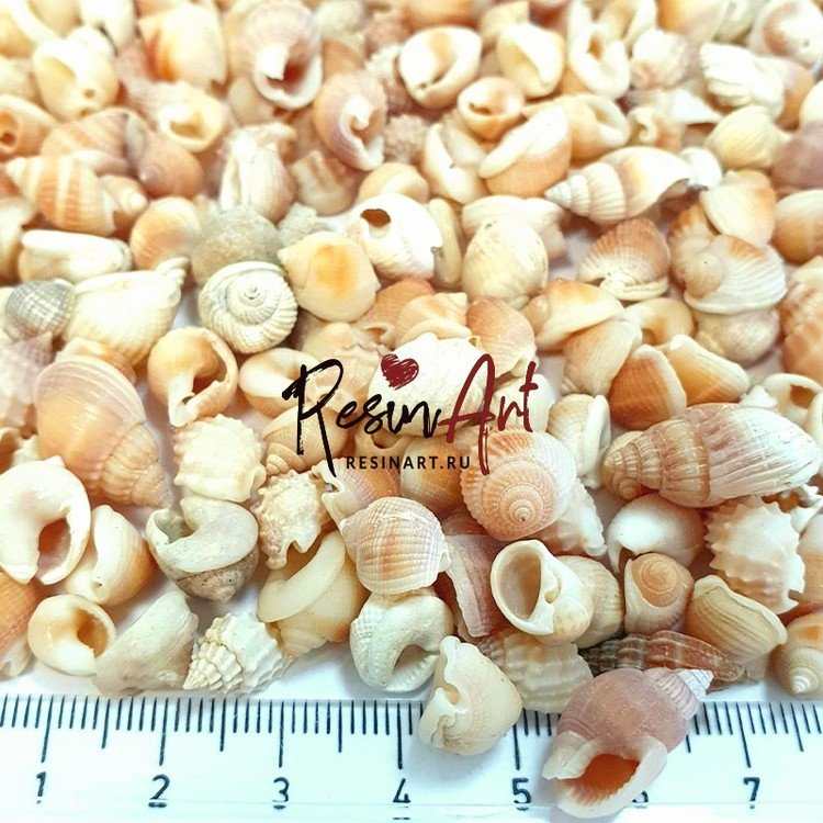 Ракушки Нутмег оранжевый, 100 г, ResinArt