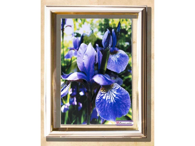 Папертоль «Ирисы» — картинка 3