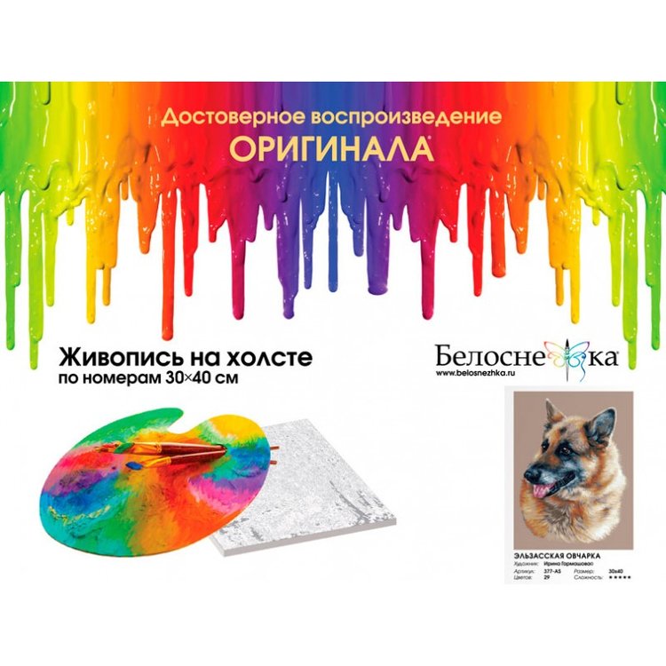 Картина по номерам «Эльзасская овчарка» — картинка 4
