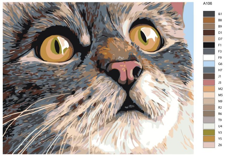 Картина по номерам «Удивление» — картинка 2