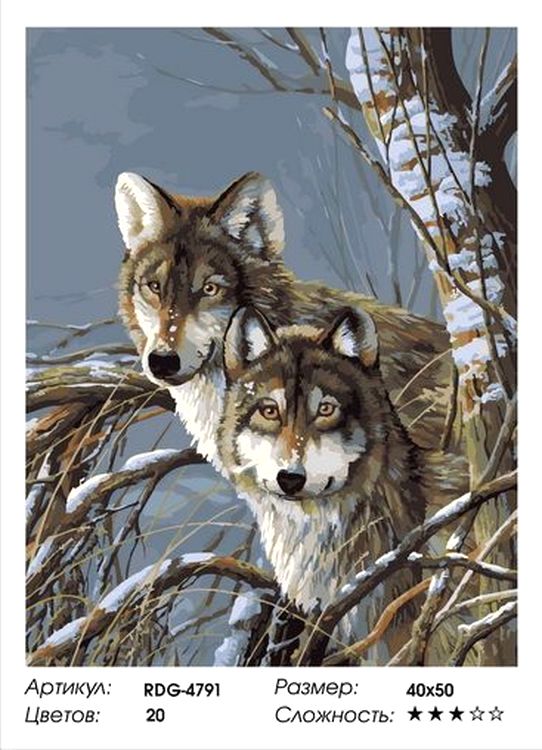 Картина по номерам «Два волка» — картинка 2
