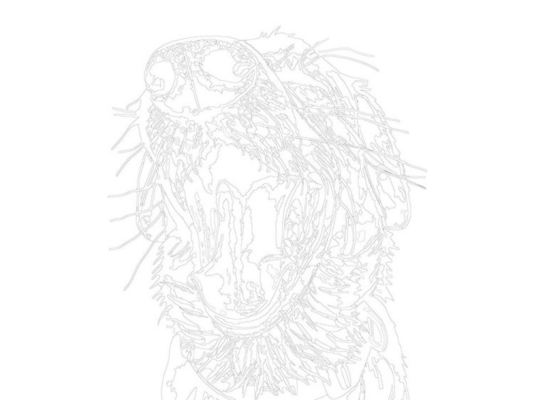 Картина по номерам «Эдди» — картинка 3