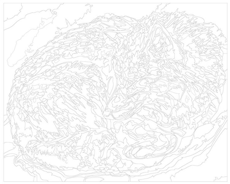 Картина по номерам «Волчица» — картинка 3