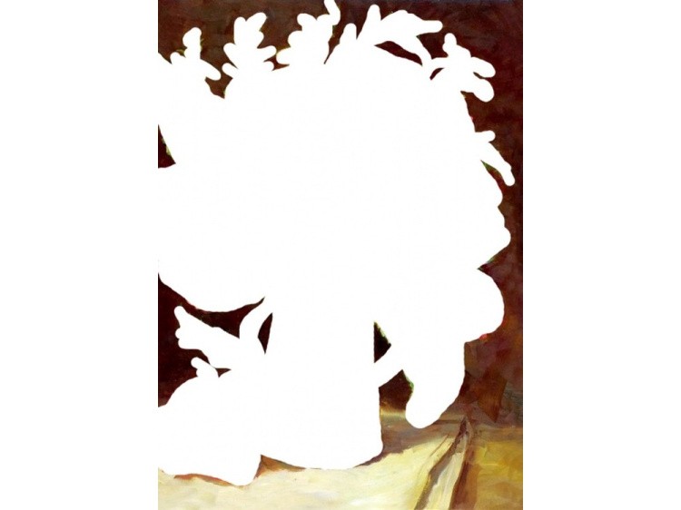 Алмазная вышивка «Маки» — картинка 2