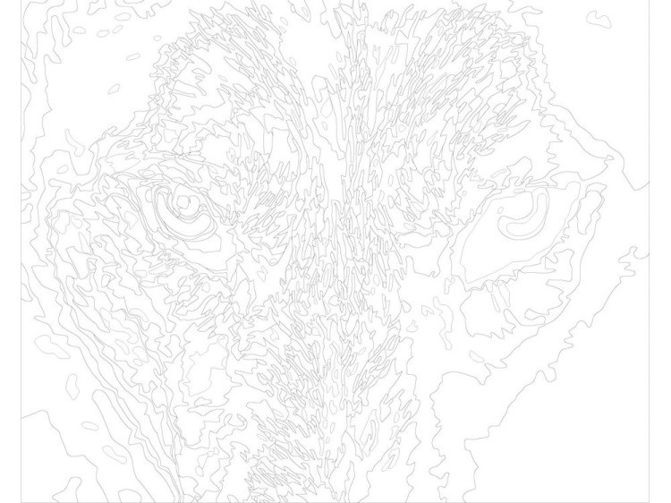 Картина по номерам «Волчий взгляд» — картинка 3