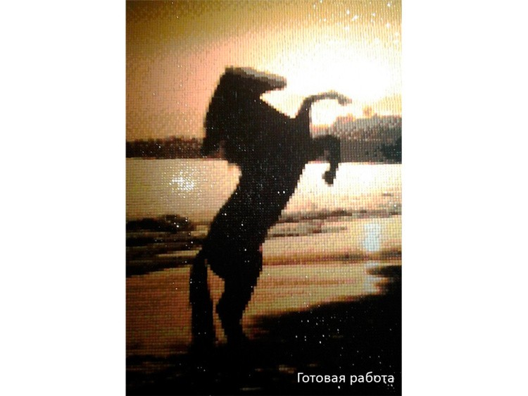 Алмазная вышивка «Лошадь на закате» — картинка 3