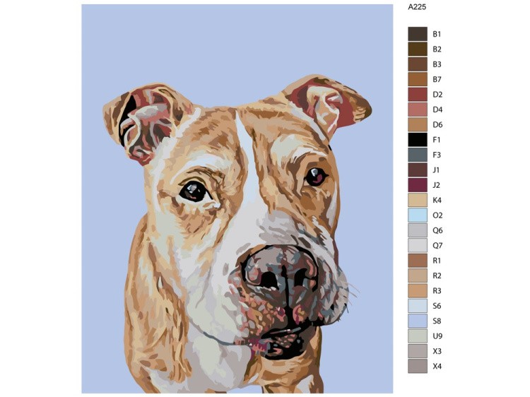 Картина по номерам «Уэлс» — картинка 2