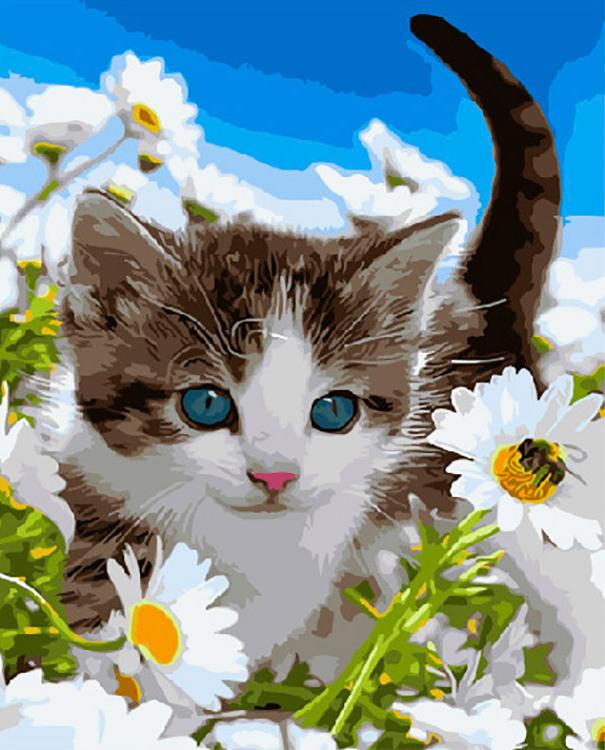Картина по номерам «Котенок в ромашках»