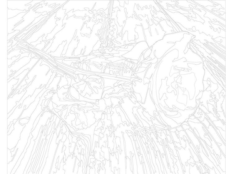 Картина по номерам «Цветок розы» — картинка 3