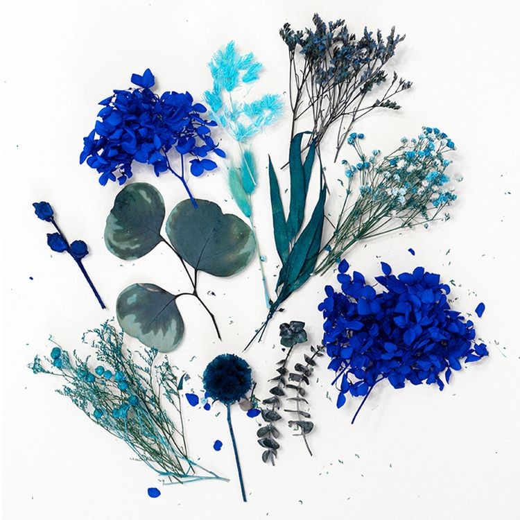 Набор сухоцветов синий, Artline