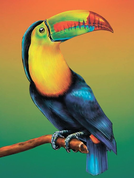 Картина по номерам «Тропическая птица»