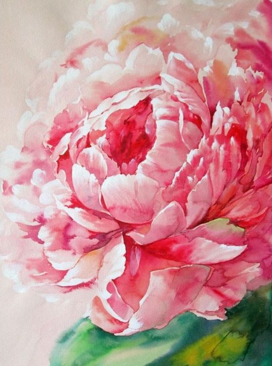 Картина по номерам «Розовый пион» — картинка 2