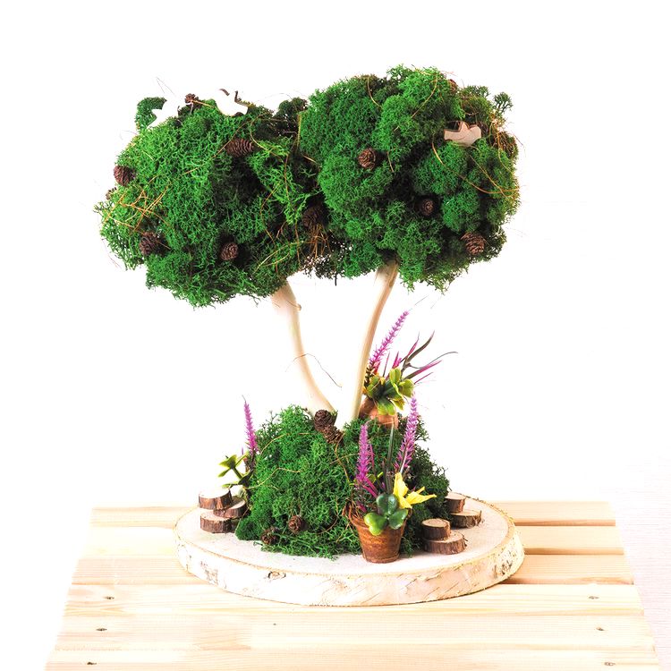 Мох стабилизированный окрашенный, 50 г ± 5 г, цвет: №02 зеленый, Blumentag — картинка 2