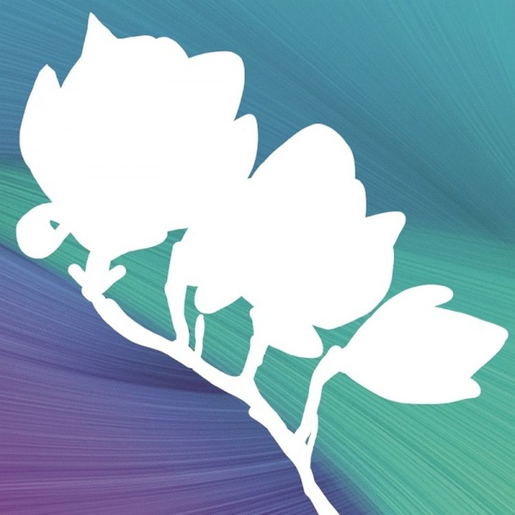 Алмазная вышивка «Цветущая магнолия» — картинка 2