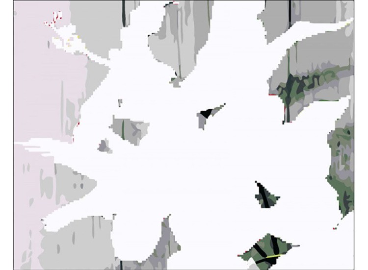 Алмазная вышивка «Гибискуса цвет» — картинка 2