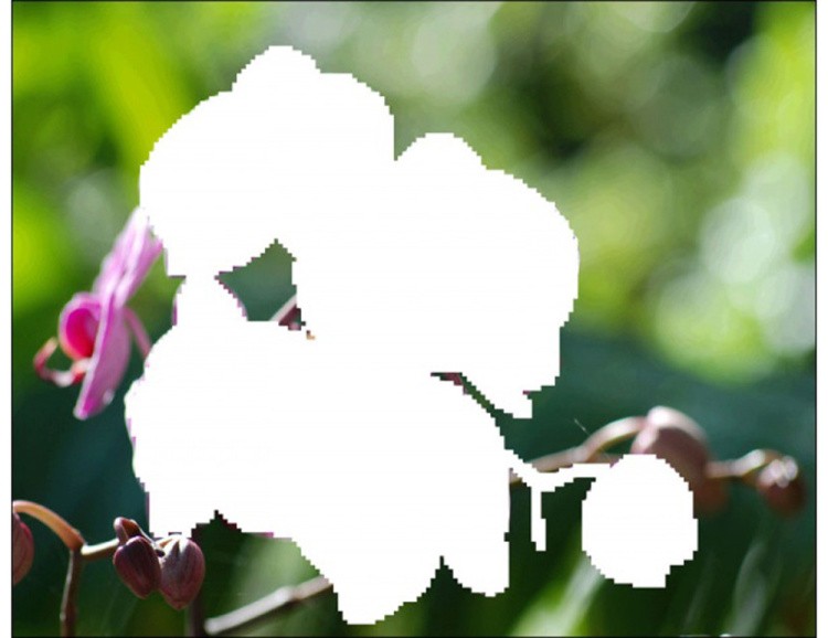 Алмазная вышивка «Ветка орхидеи» — картинка 2