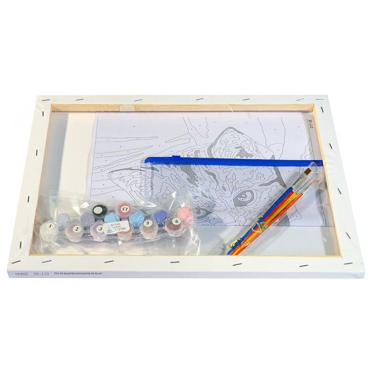 Картина по номерам «Кот-чистюля» — картинка 3