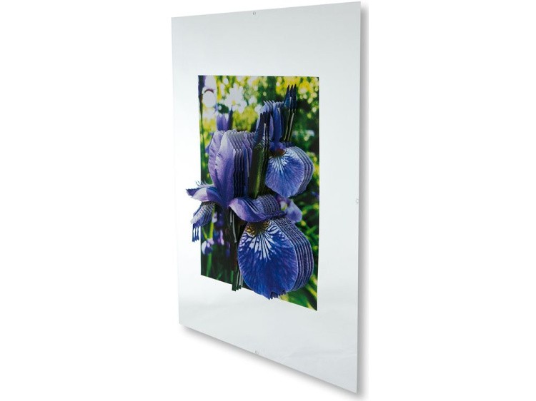 Папертоль «Ирисы» — картинка 2
