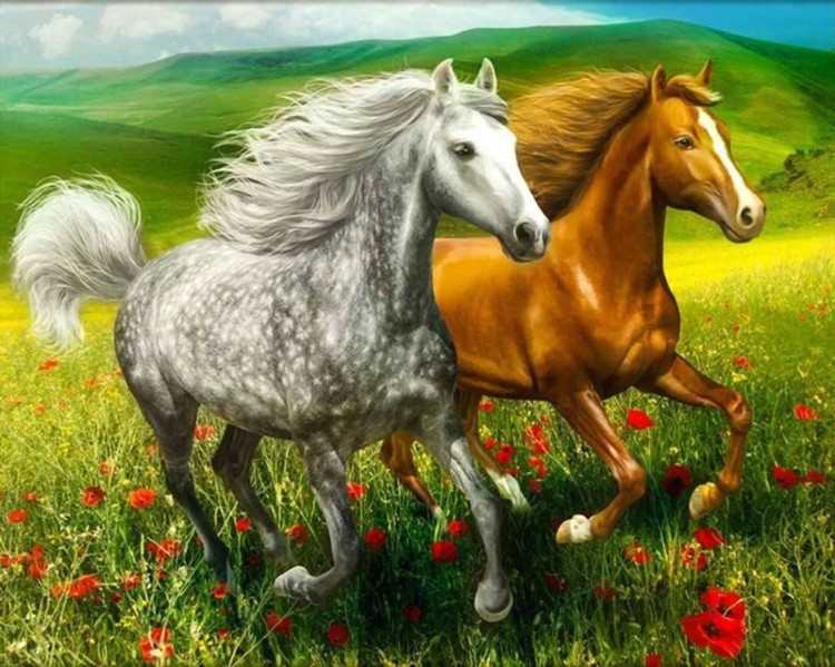 Картина по номерам «Бег лошадей»