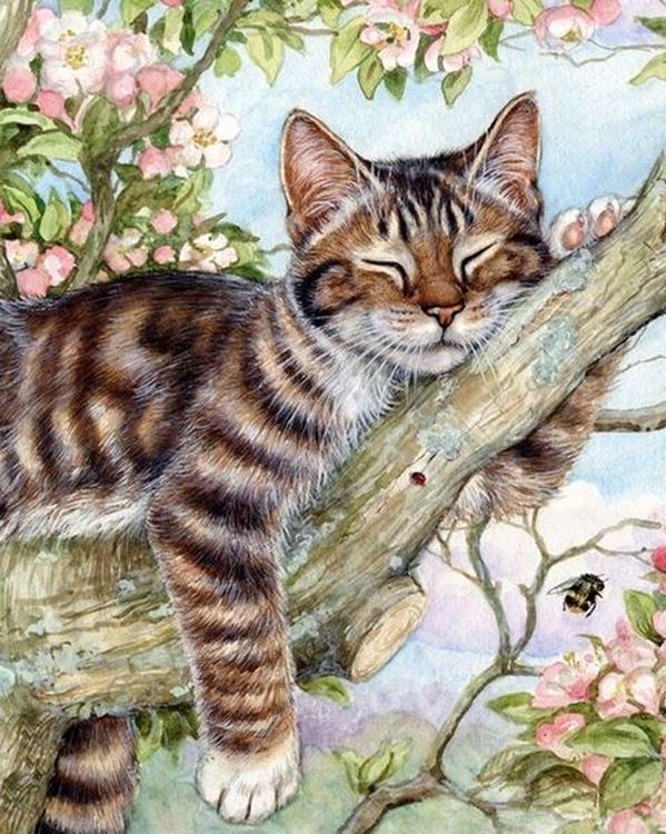 Картина по номерам «Спящий кот» — картинка 2