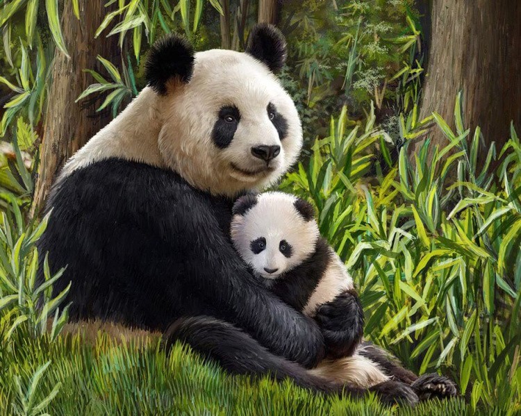 Алмазная вышивка «Мама панда»