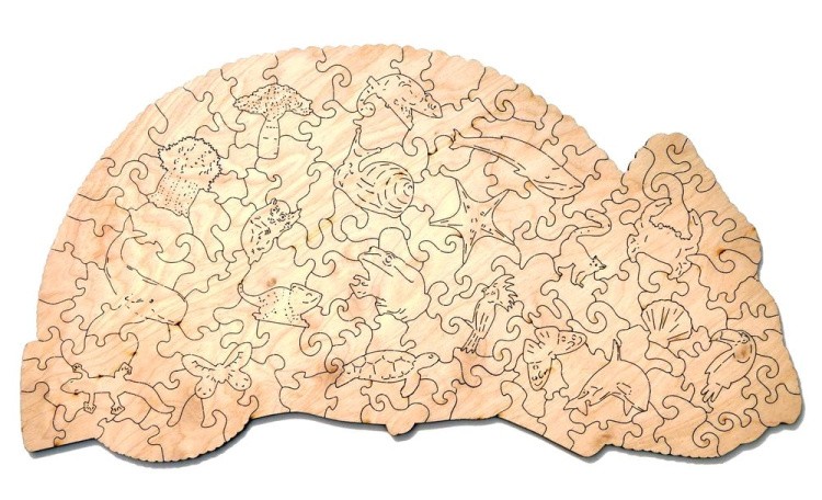 Деревянный пазл Wood Trick «Красочный Хамелеон» — картинка 8