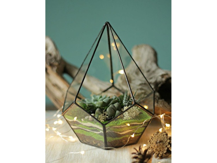 Флорариум капля-2 — картинка 3