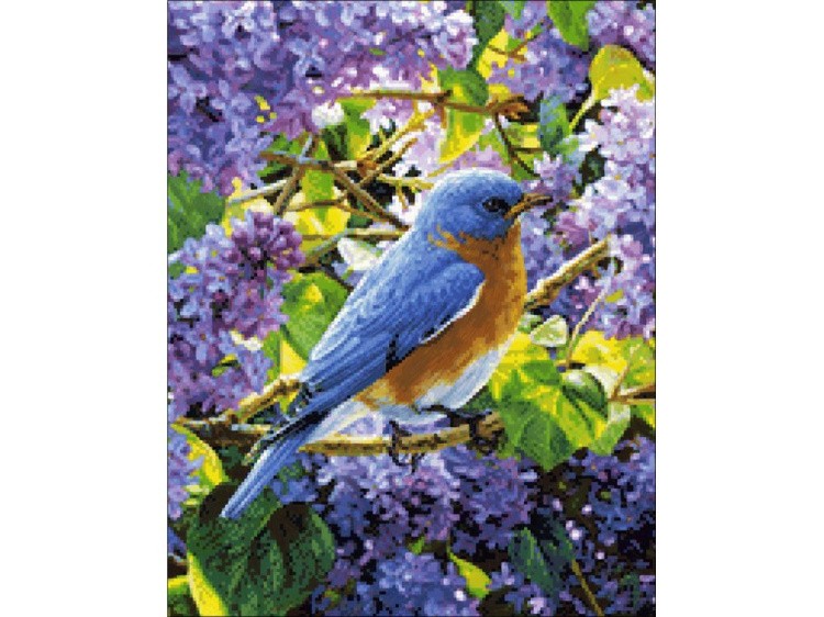 Алмазная вышивка «Птичка» — картинка 2