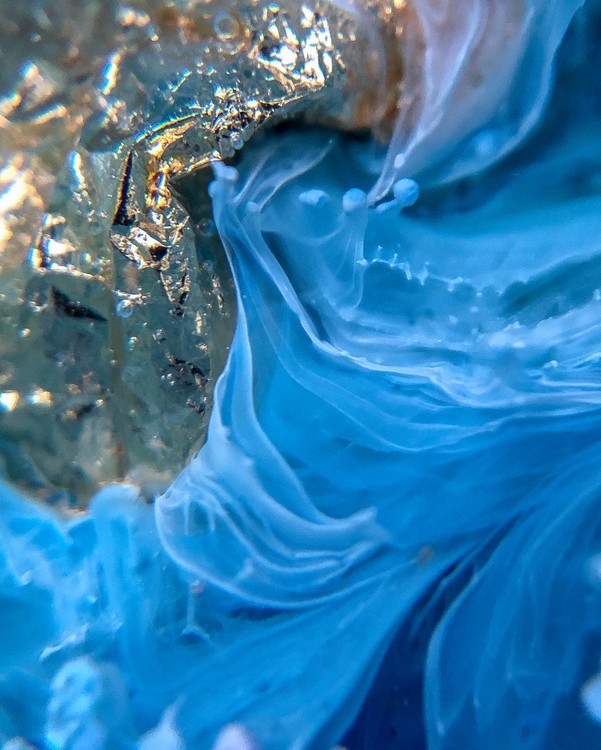 Краска для Петри Изумрудно-голубой 5 мл, Kamenskaya Ink — картинка 5