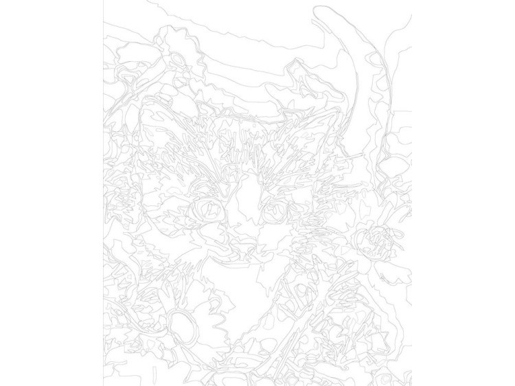 Картина по номерам «Котёнок среди ромашек» — картинка 3