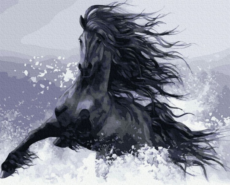 Картина по номерам «Конь вороной»