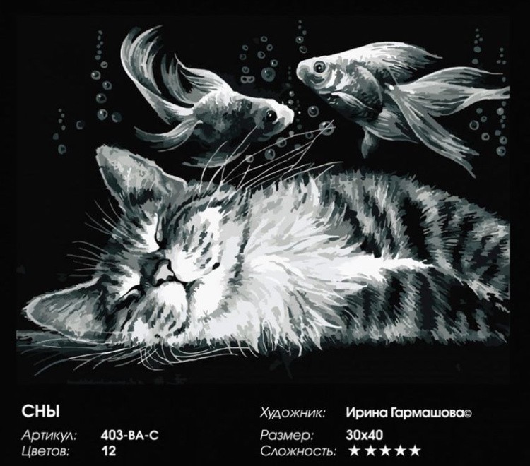 Картина по номерам «Сны» — картинка 2