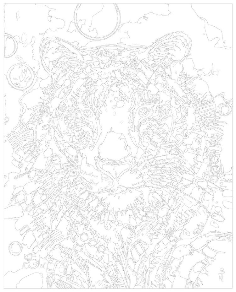 Картина по номерам «Тигрица» — картинка 3