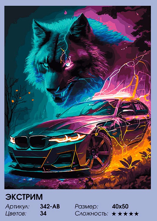 Картина по номерам «Экстрим» — картинка 2