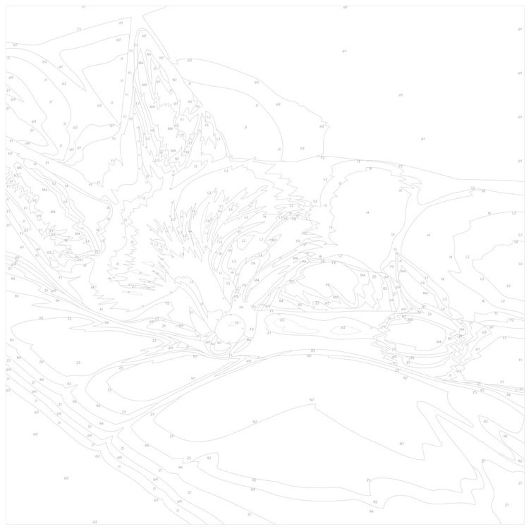 Картина по номерам «Спящий лисенок» — картинка 3