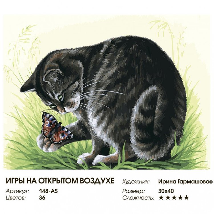 Картина по номерам «Игры на открытом воздухе» — картинка 2