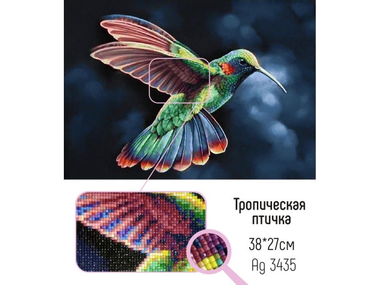 Алмазная вышивка «Тропическая птичка» — картинка 3