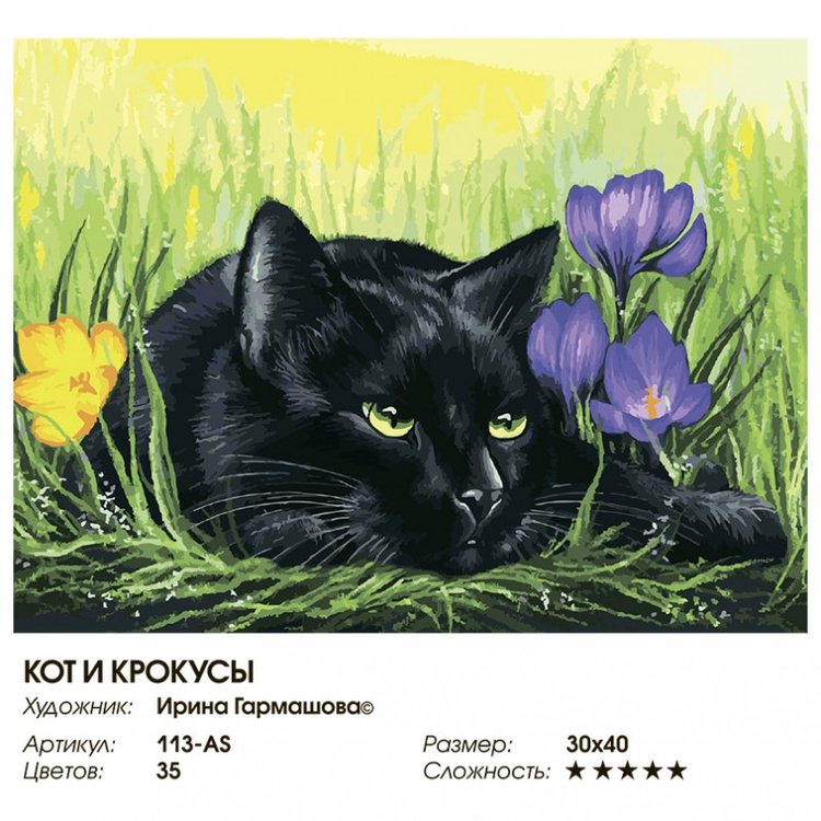 Картина по номерам «Кот и крокусы» — картинка 2