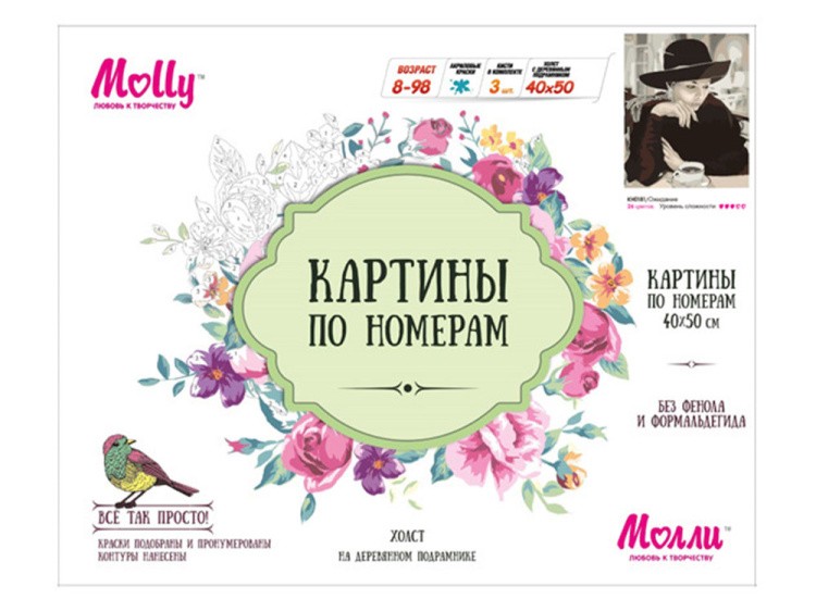 Картина по номерам «Ожидание» — картинка 2