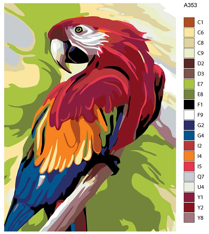 Картина по номерам «Попугай» — картинка 2