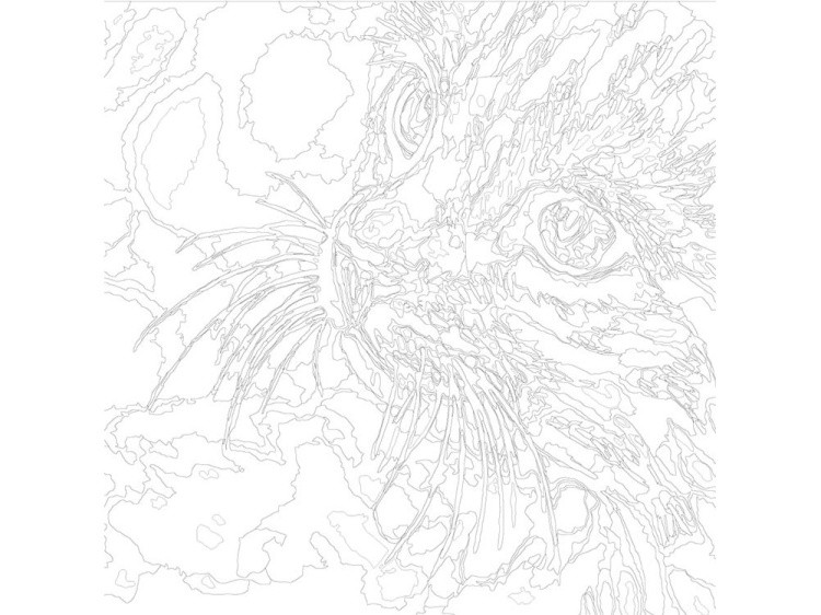 Картина по номерам «Любопытство» — картинка 3