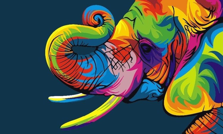 Картина по номерам «Радужный слон»
