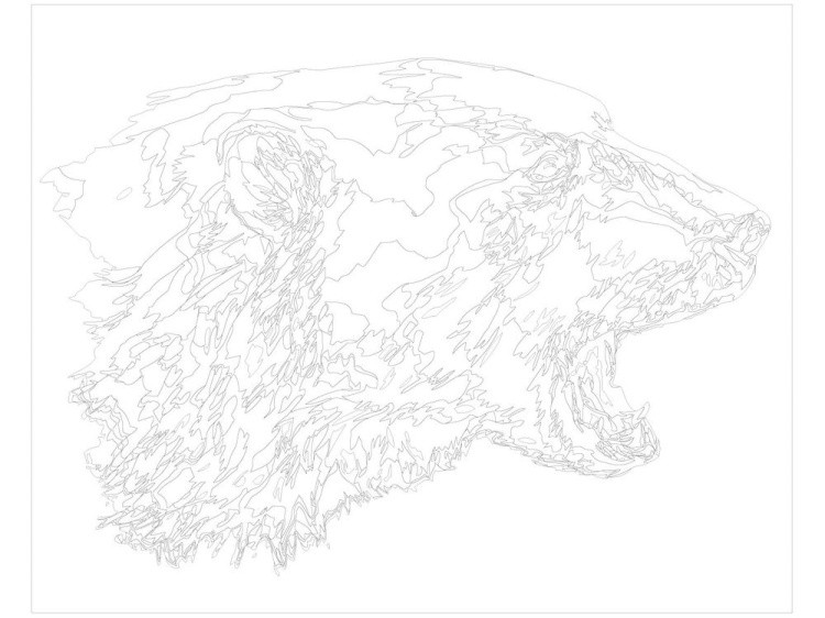Картина по номерам «Белый медведь» — картинка 3