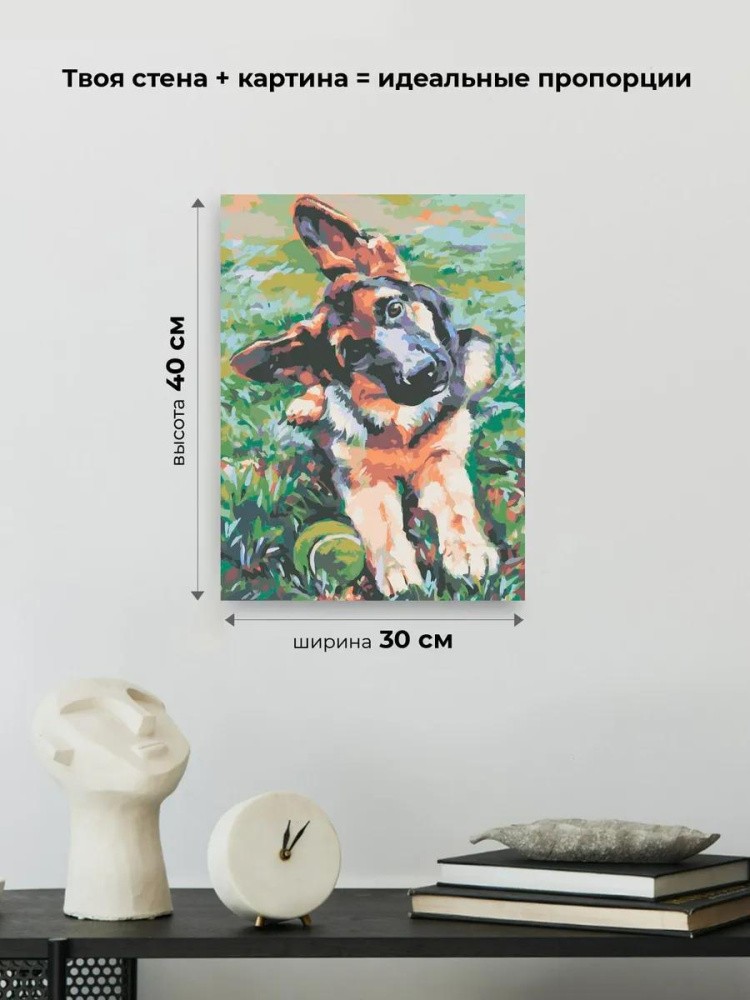 Картина по номерам «Овчарка» — картинка 3