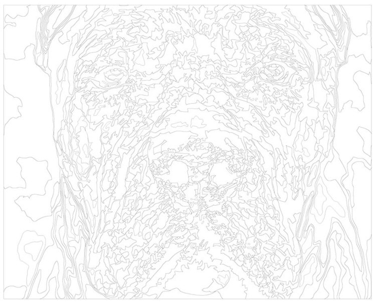 Картина по номерам «Кане-корсо» — картинка 3