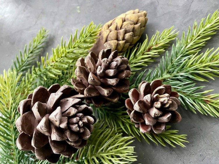 Силиконовый молд - Шишка, h 4см, 1 шт. — картинка 4