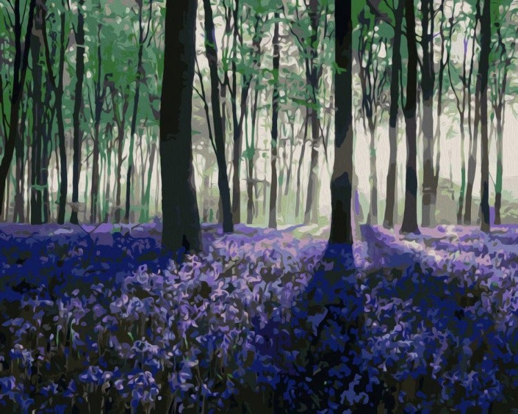 Картина по номерам «Фиолетовые цветы в лесу»