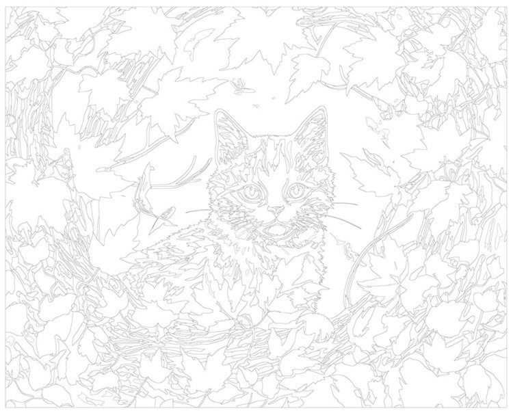 Картина по номерам «Белый котенок среди осенних листьев 2» — картинка 3