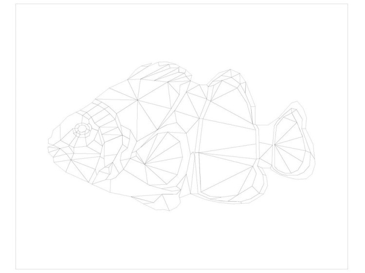 Картина по номерам «Фигурная рыбка» — картинка 3