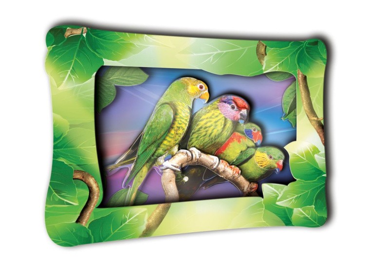 Объемная картина «Амазонские попугаи» — картинка 2